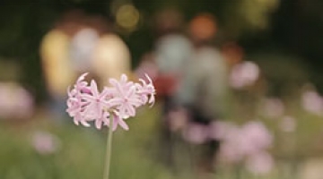 “Sensory Garden"