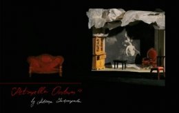 Petronella Oortman της Κατερίνας Ζαχαροπούλου / Petronella Oortman by Katerina Zacharopoulou